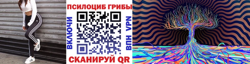 Псилоцибиновые грибы Psilocybe  Балахна 
